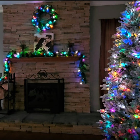 video of trees with alexa voice control